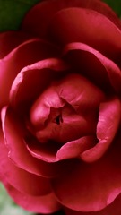 578711C1-1350-48EE-A9D1-526EF57AA4BD/L0/001