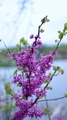 A5531258-69E6-49EA-83FA-F78727932182/L0/001