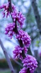 BFEEA84D-A6EB-4DEA-82A9-2F288DC170ED/L0/001