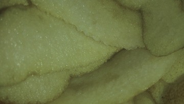 354881
