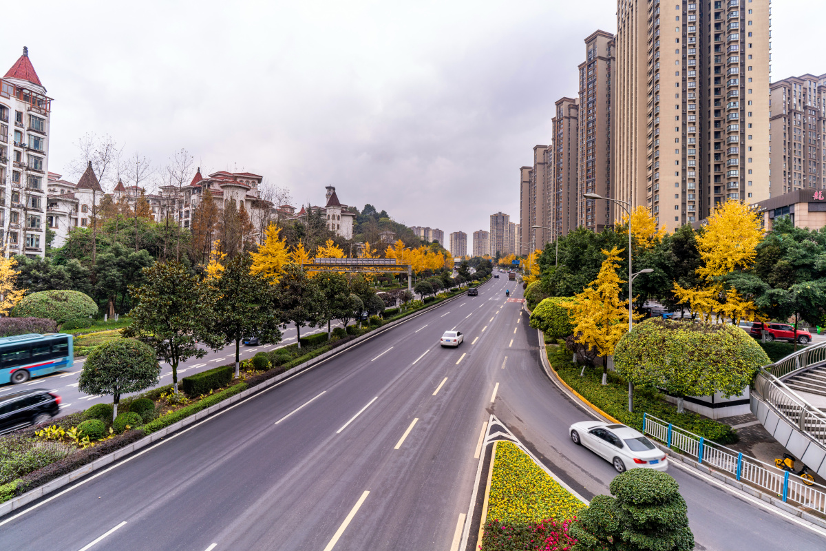 冬日的重庆有别于北方城市凄美一年四季依然绿郁葱葱五彩斑斓