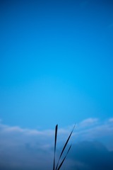 BDF5038E-549A-4CB2-A7FE-12A2C882687C/L0/001