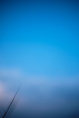 644BA7F5-1296-4F82-B855-05553588BB57/L0/001