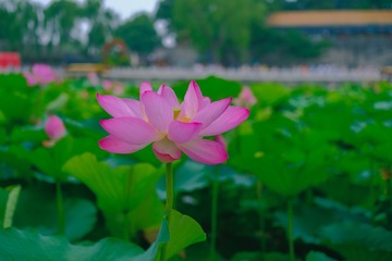 C90E337F-DBCB-44A0-ADFE-919637A9CF02/L0/001