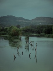 2F072DB0-A2F3-4DB8-885F-94267E97AE16/L0/001