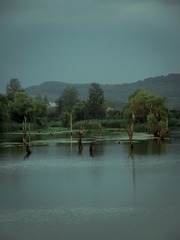 9AFF3ABF-052D-4493-96B1-864D1AEFD264/L0/001