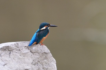 1039723