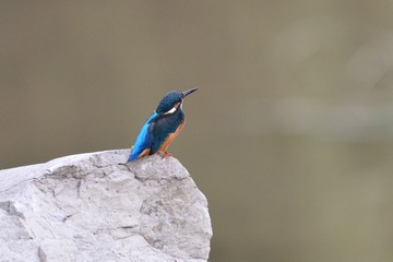 1039721