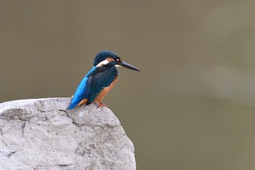 1039722
