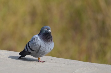 948385