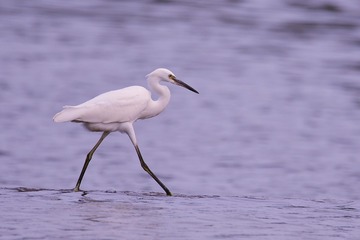 980570