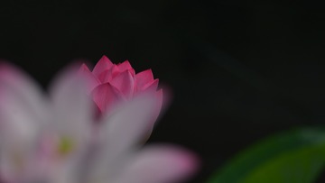 1014654