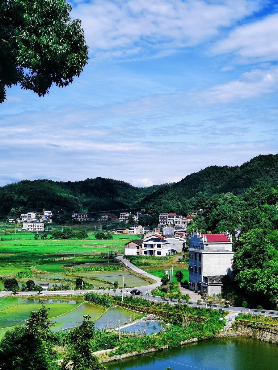 乡村美丽美丽乡村