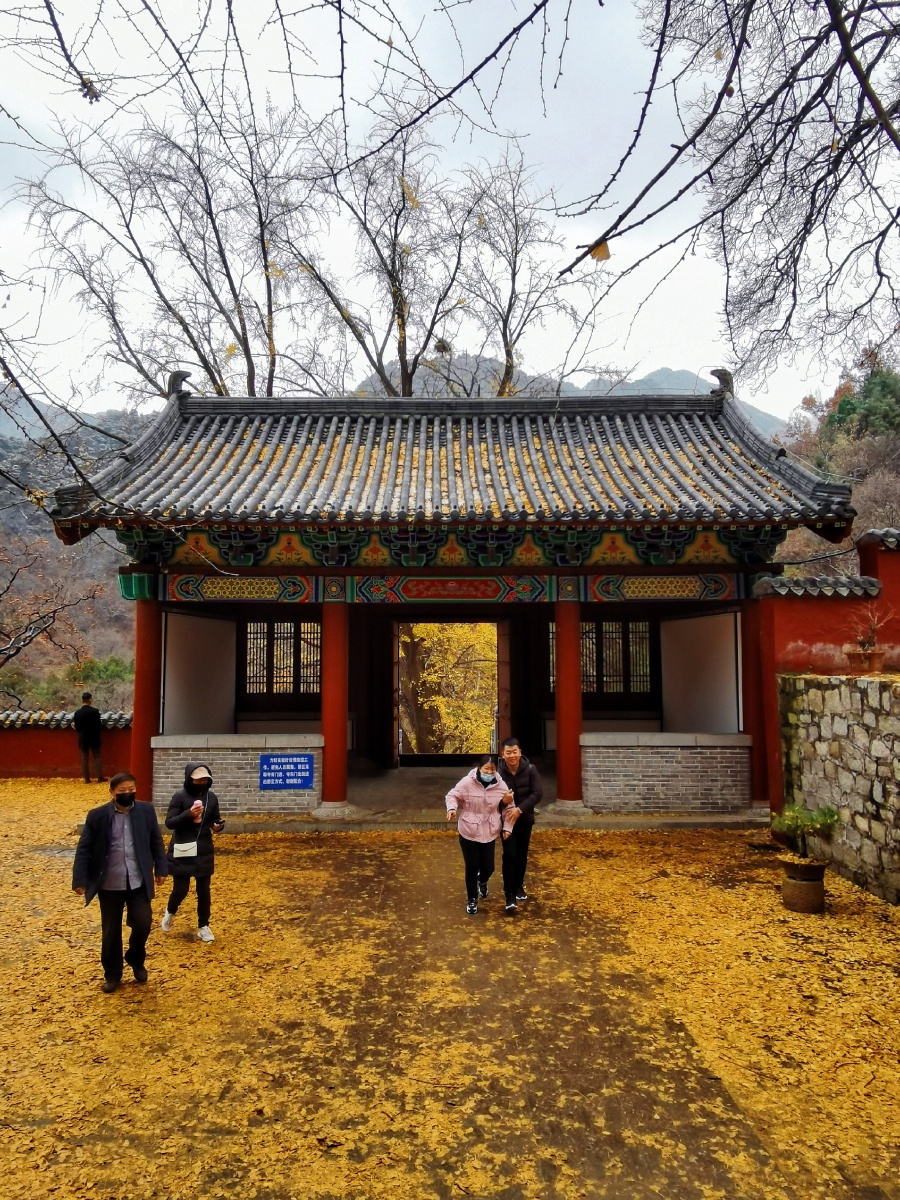 旅游泰山玉泉寺玉泉寺始建于北魏时期距今已有1600余年历史已成为泰山