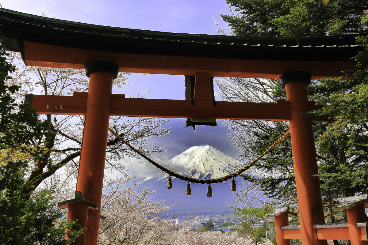 吉田浅间神社鸟居富士山皐月关注