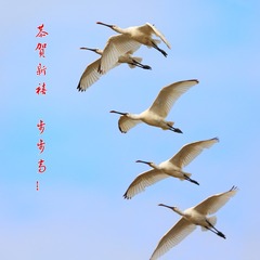 25429