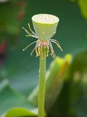 P7070069