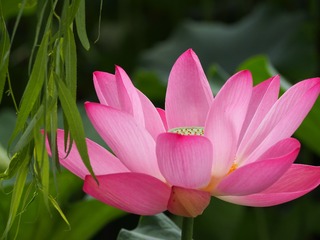 P7070039