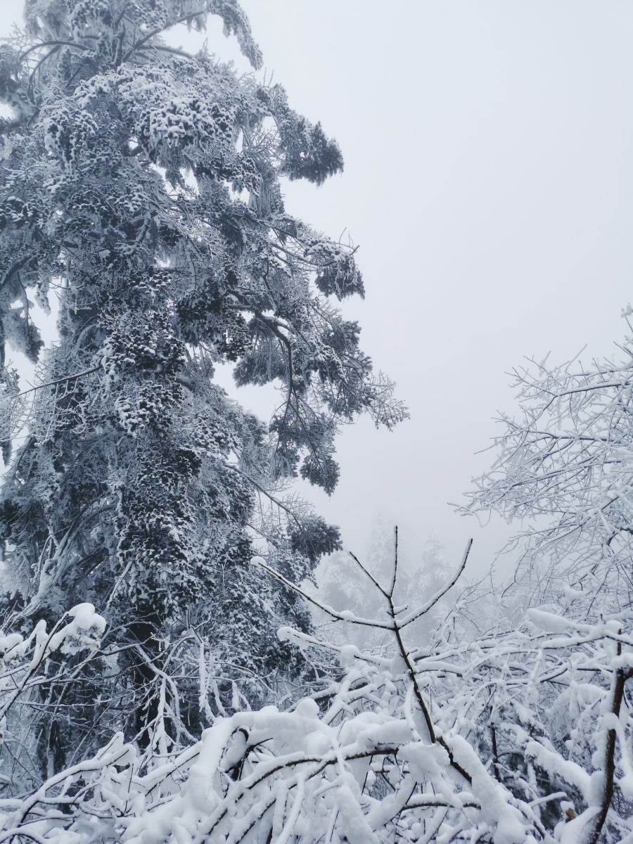 峨眉山雪景