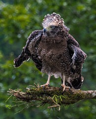 69030