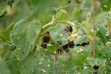 20105