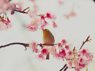 5043