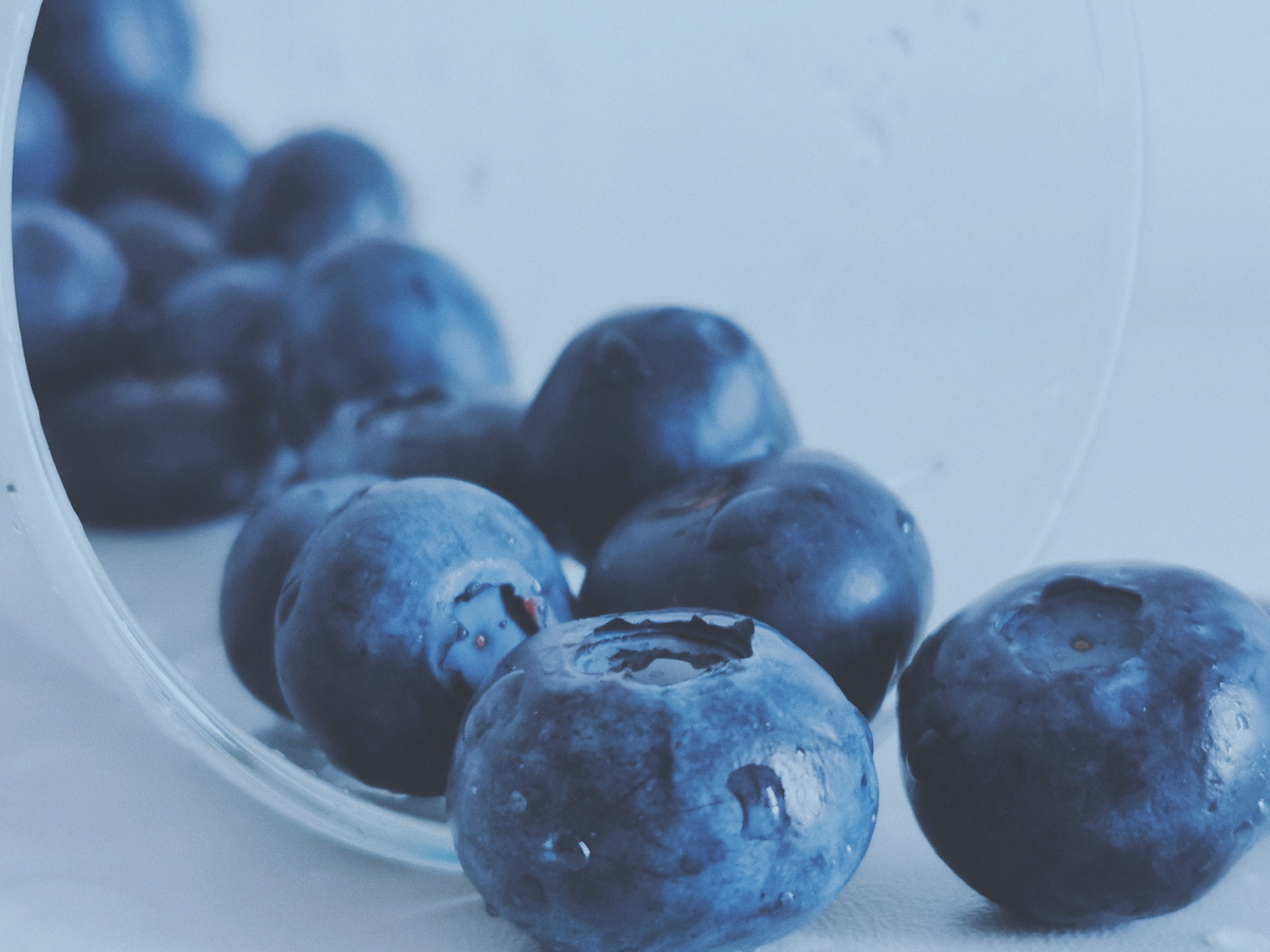 分享蓝色蓝色实在是太治愈系了爱了爱了