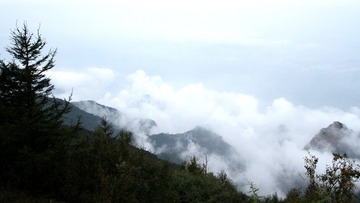 IMG_0260_
