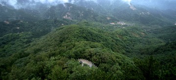 IMG_0524_