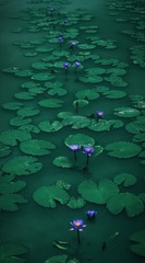 D83209A7-1704-4F85-8FAC-E45F60D116A1/L0/001