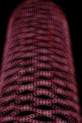 1079154