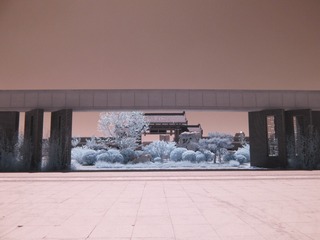 732568
