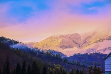 DSC00450-1 - a
