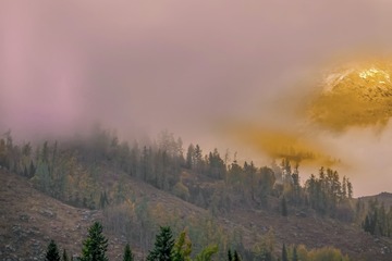 DSC00469-1-1-1a
