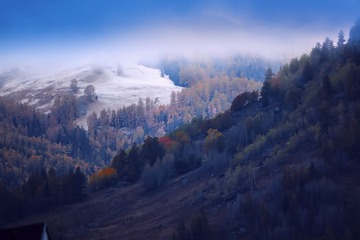-dsc485-1-1a