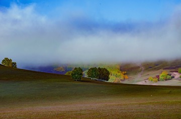 DSC_0506-1