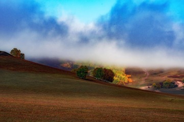 DSC_0505-1