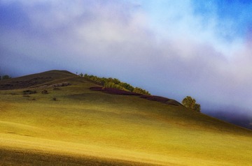 DSC_0504-1