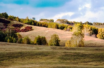 DSC_0761-1