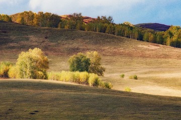 DSC_0760-1