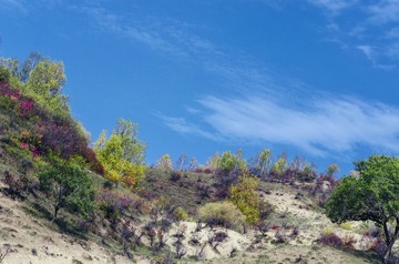 DSC_0984-1