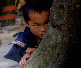 DSC04728-1a