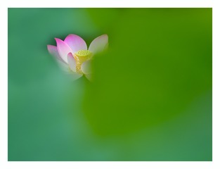 2004078