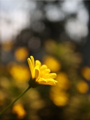 1DC2349B-2412-47BD-9DFD-5368272F6C14/L0/001