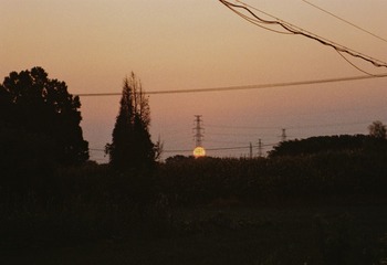 4A25D0B4_IMG_7660