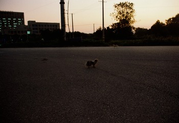 CFBB89EC_IMG_7679
