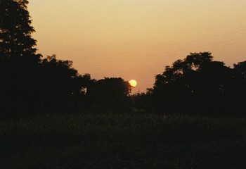 DD5DC25A_IMG_7664