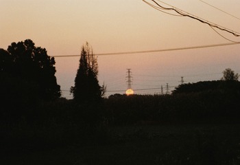 31B59491_IMG_7665