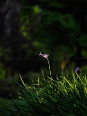 F18FDD07-CF21-46A3-BD27-6EAAA20EC4DB/L0/001