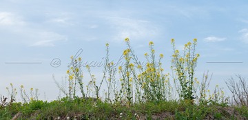 18618C9A-2388-44E2-8EF3-BD44502CD535/L0/001